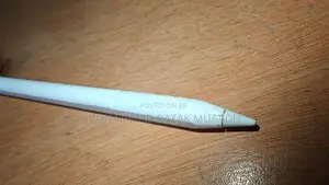 Apple Pencil Type C