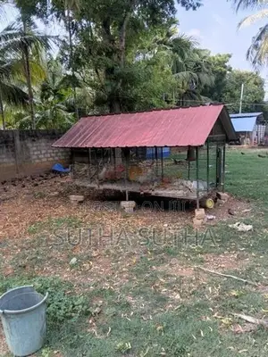 கோழிக்கூடு