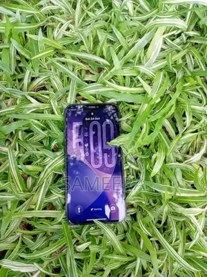 Apple iPhone 12 Pro (Used)