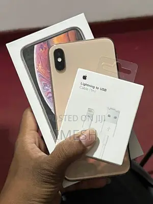 Apple iPhone XS 256GB (Used)