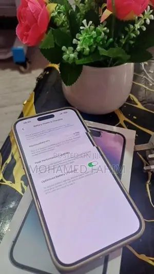 Apple iPhone 14 Pro Max 256GB (Used)