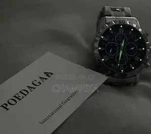 Poedagar Chronograph Watch