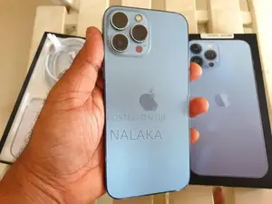 Apple iPhone 13 Pro Max (Used)