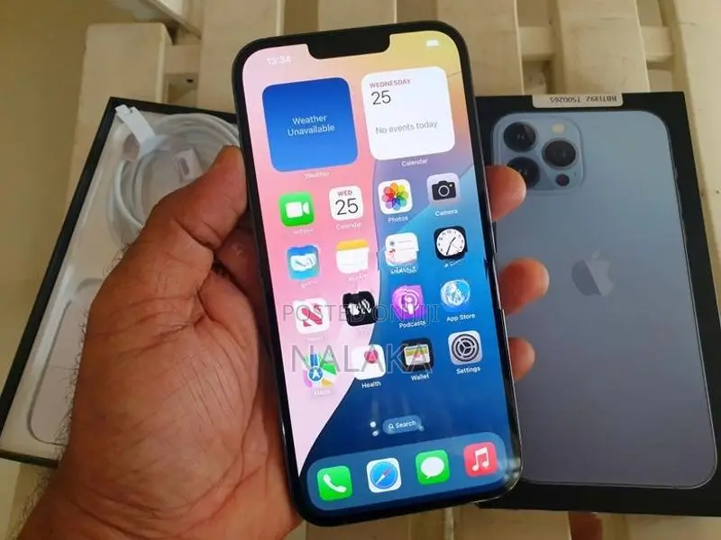 Apple iPhone 13 Pro Max (Used)