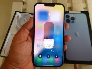 Apple iPhone 13 Pro Max (Used)