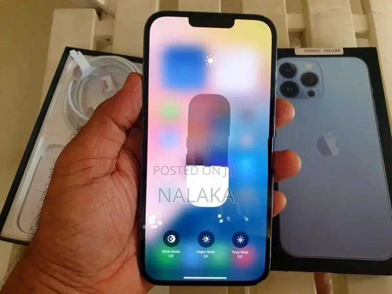 Apple iPhone 13 Pro Max (Used)