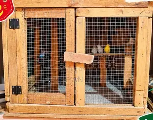 Love Birds With Cage