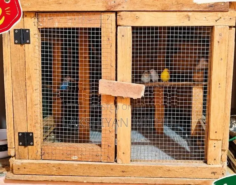 Love Birds With Cage