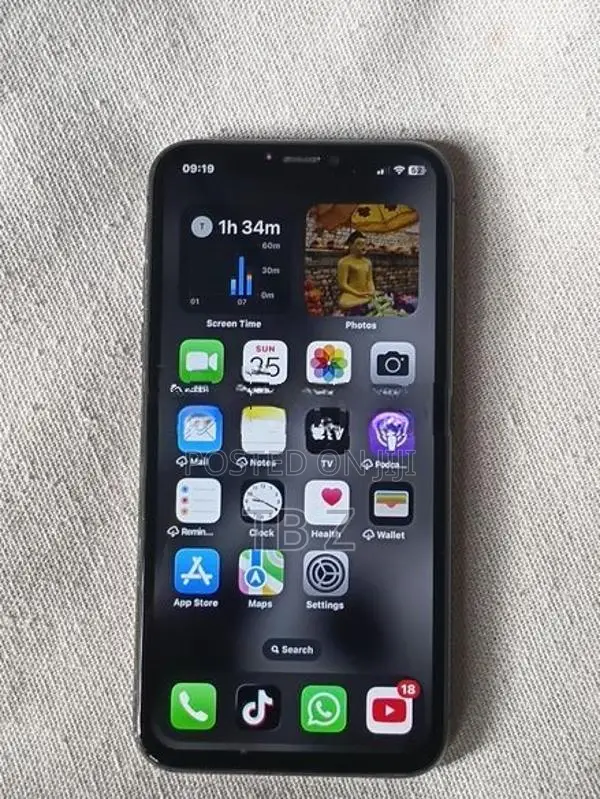 Apple iPhone X (Used)