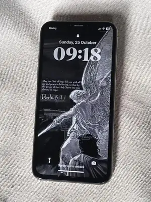 Apple iPhone X (Used)