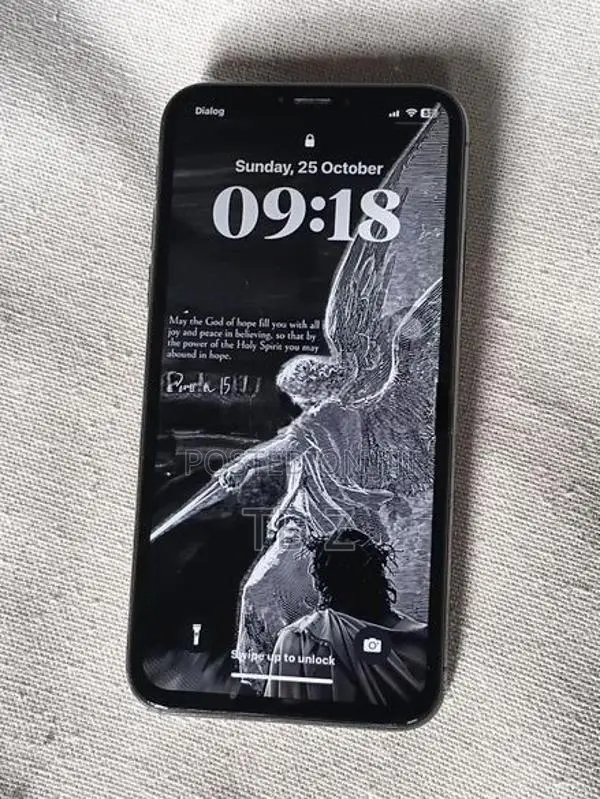 Apple iPhone X (Used)