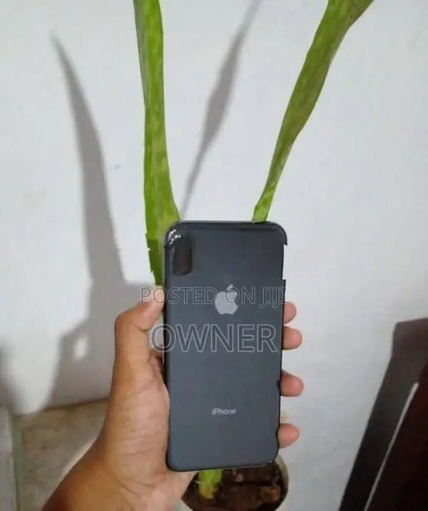 Apple iPhone XS (Used)