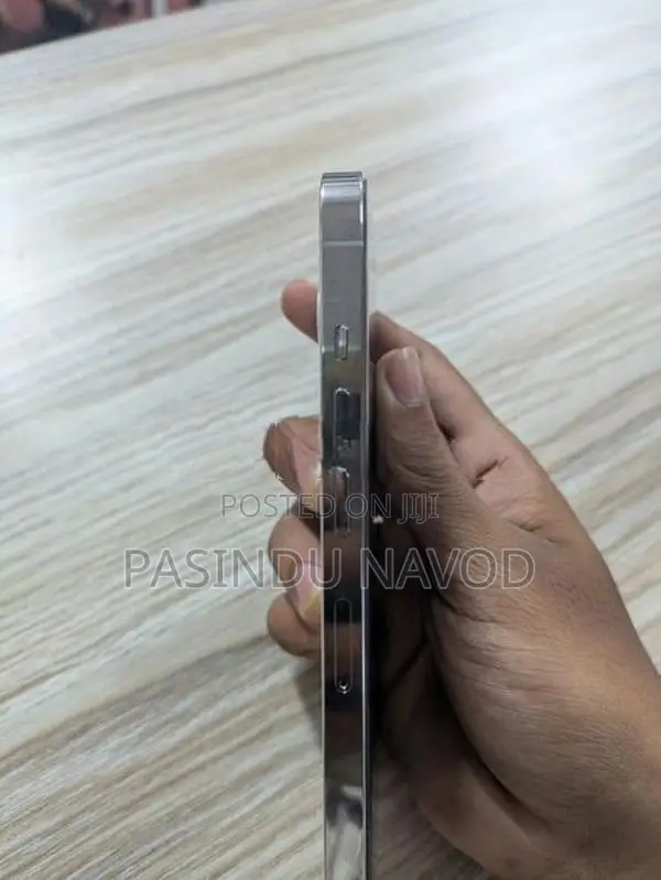 Apple iPhone 13 Pro (Used)