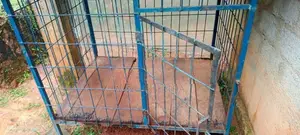 Dog Cage