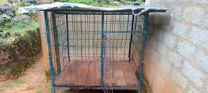 Dog Cage