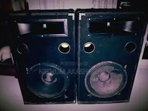 Pioneer
