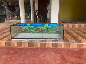 Fish Tank