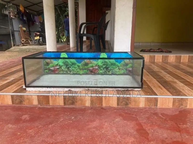 Fish Tank