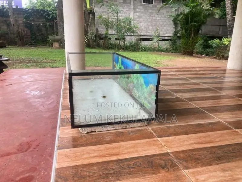 Fish Tank