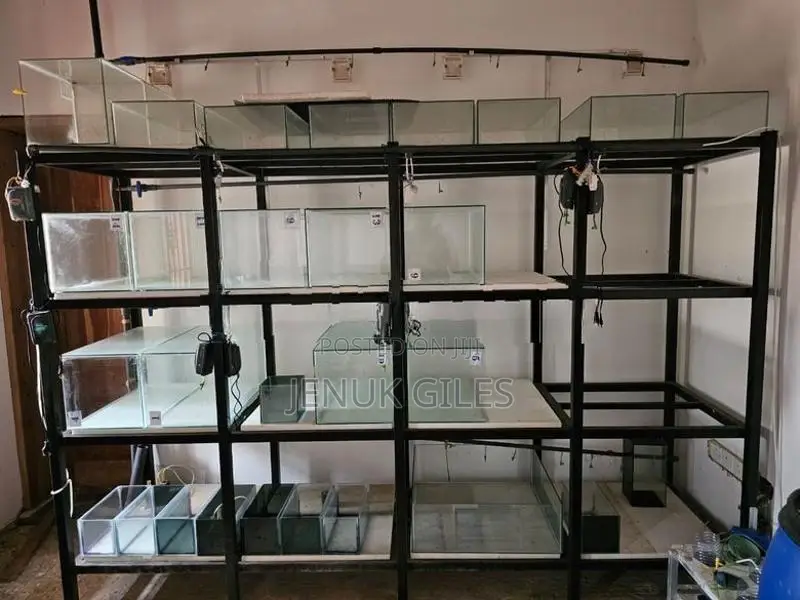 Aquarium Rack / Stand With 12 Glass Tanks