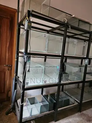 Aquarium Rack / Stand With 12 Glass Tanks