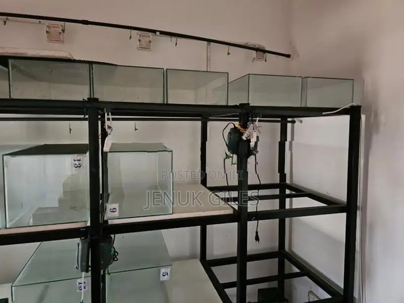 Aquarium Rack / Stand With 12 Glass Tanks
