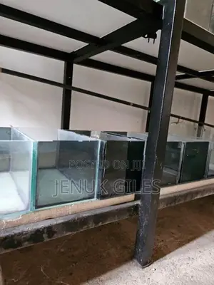 Aquarium Rack / Stand With 12 Glass Tanks