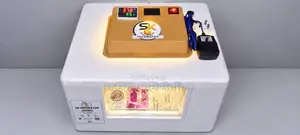 60 Eggs Incubator - Manual