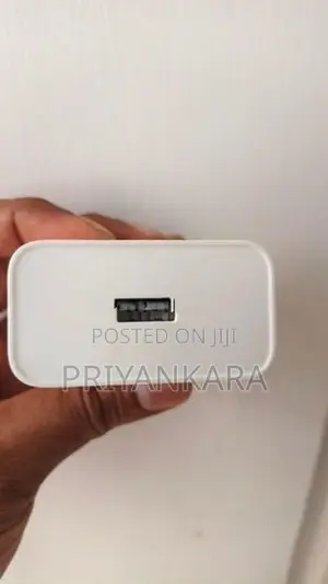 80w Charger