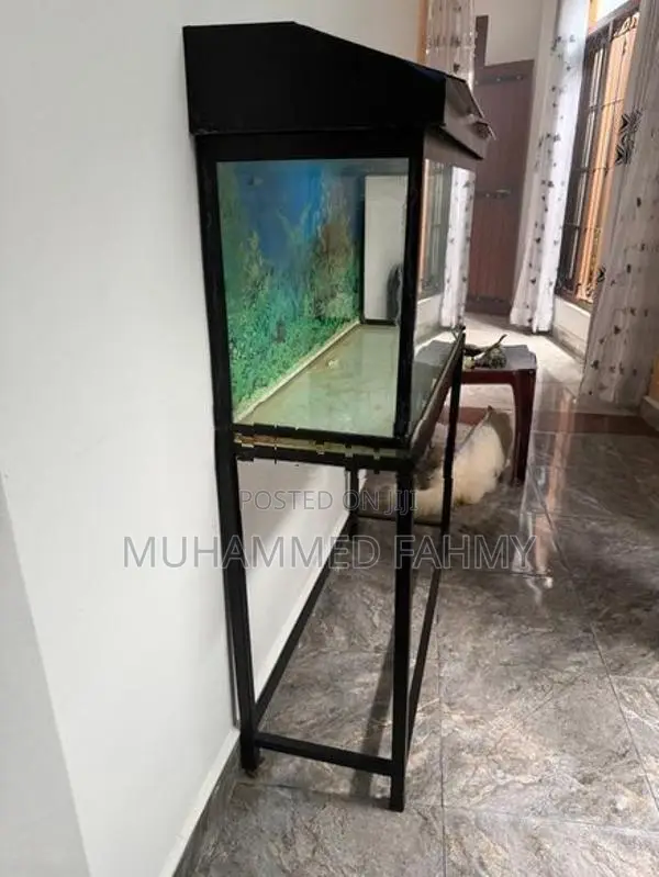 Fish Tank