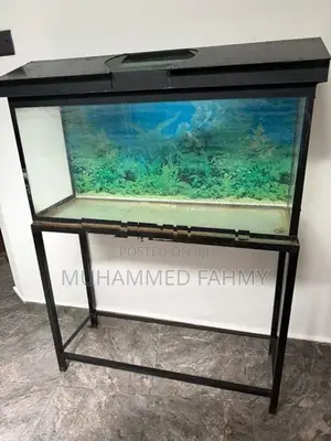 Fish Tank