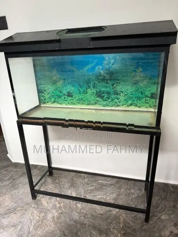 Fish Tank