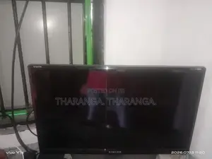 Singer 24" TV