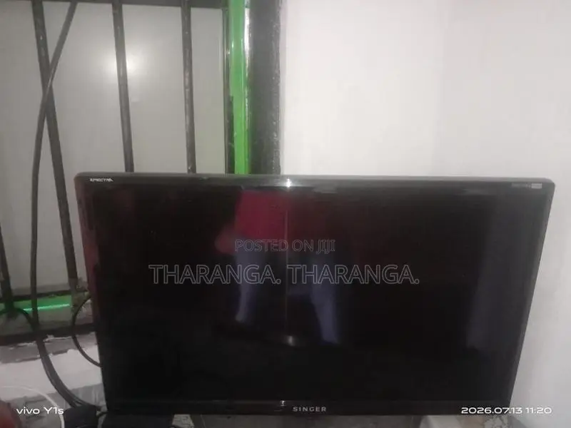 Singer 24" TV
