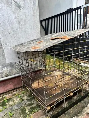 Dog Cage