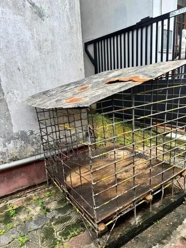 Dog Cage