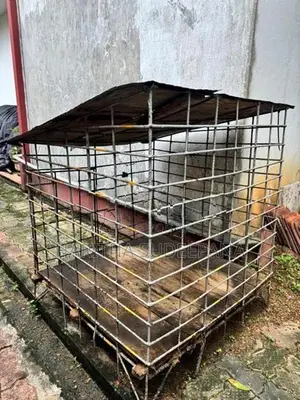 Dog Cage
