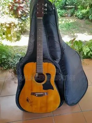Guitars