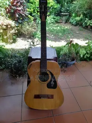 Guitars