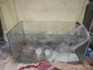 Fish Tank