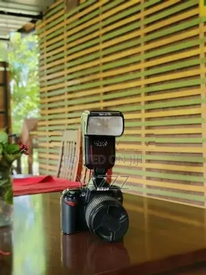 Nikon D90 With Flash