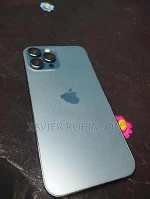 Apple iPhone 12 Pro Max (Used)
