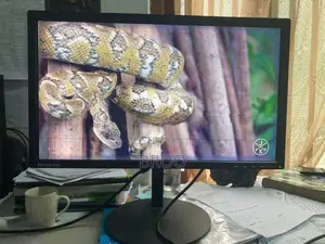 Lenovo 23 Inch IPS LED Monitor