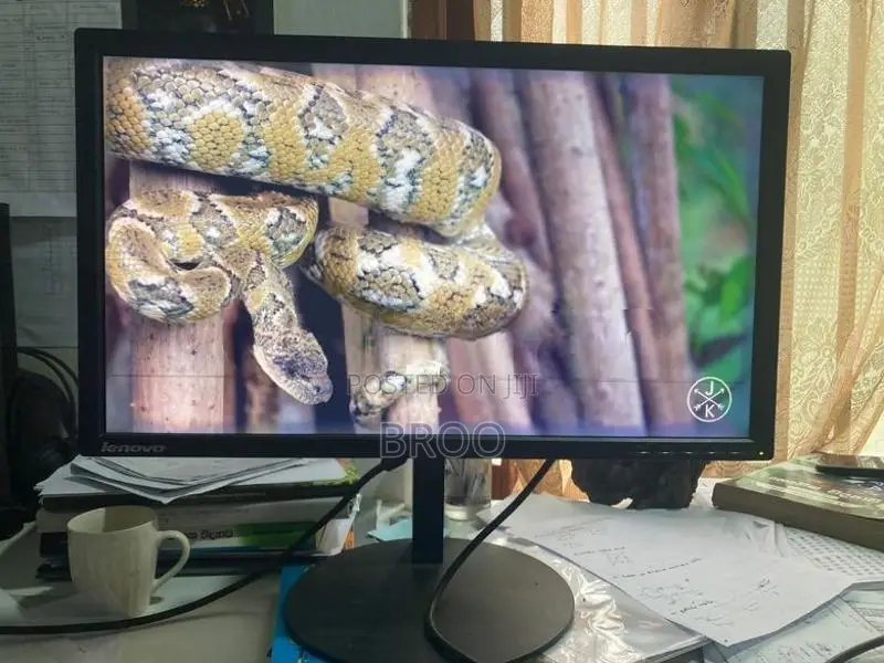 Lenovo 23 Inch IPS LED Monitor