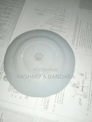 S.S Crown Plate - Made In Japan