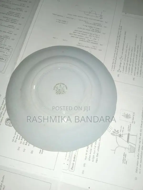 S.S Crown Plate - Made In Japan