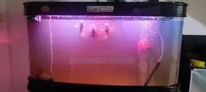 Fish Tank