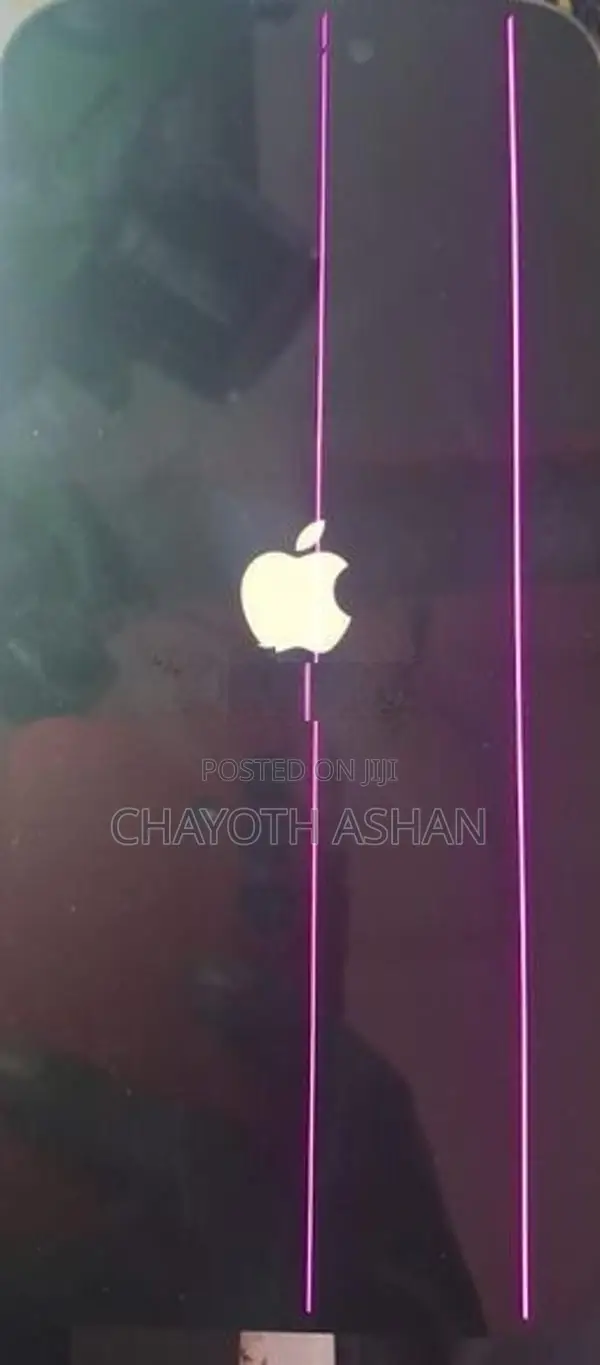 Apple 14 Pro Max Display