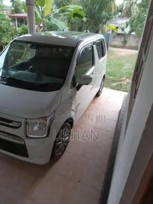 Suzuki Wagon R 2024 Car (Used)