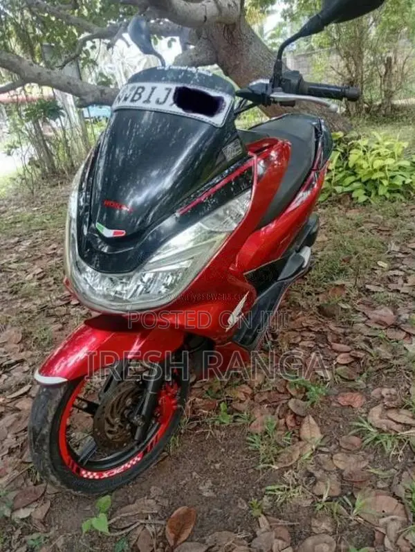 Honda Pcx 2019 Motorbike (Used)